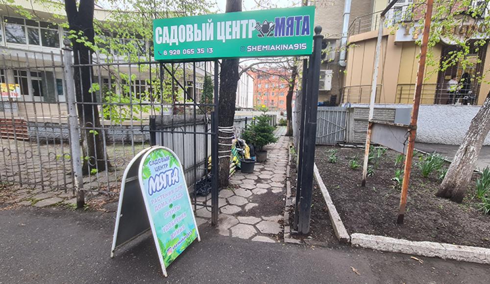 МЯТА садовый центр, растения для дома и сада