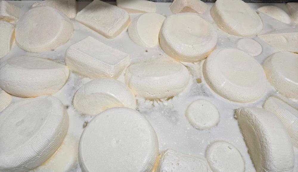 СЫР у Альбины магазин молочной продукции