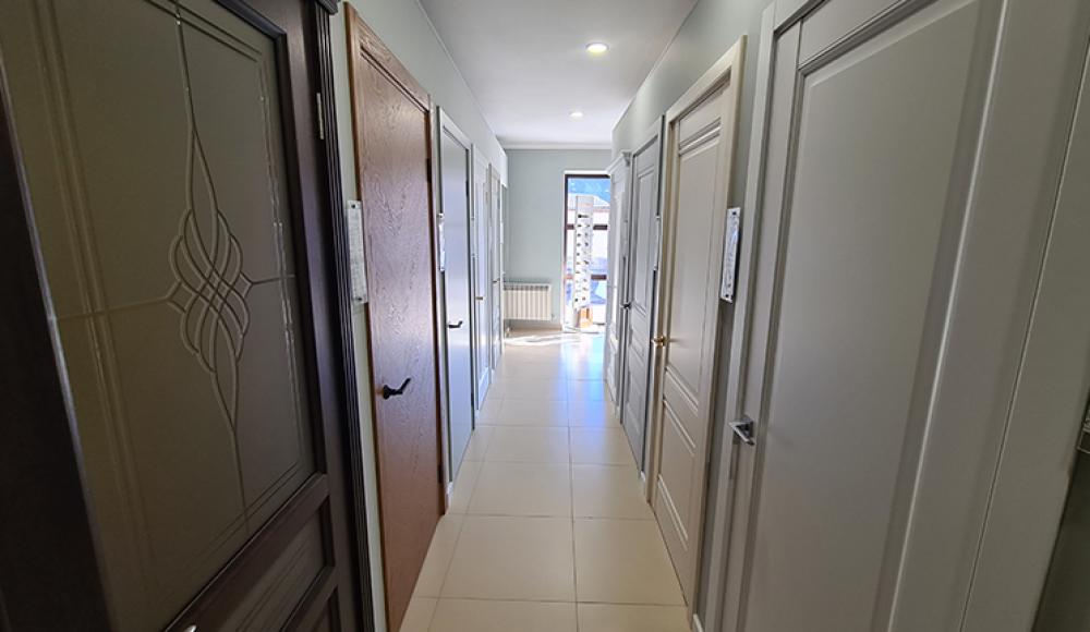 ДВЕРИ ИЗ МАССИВА